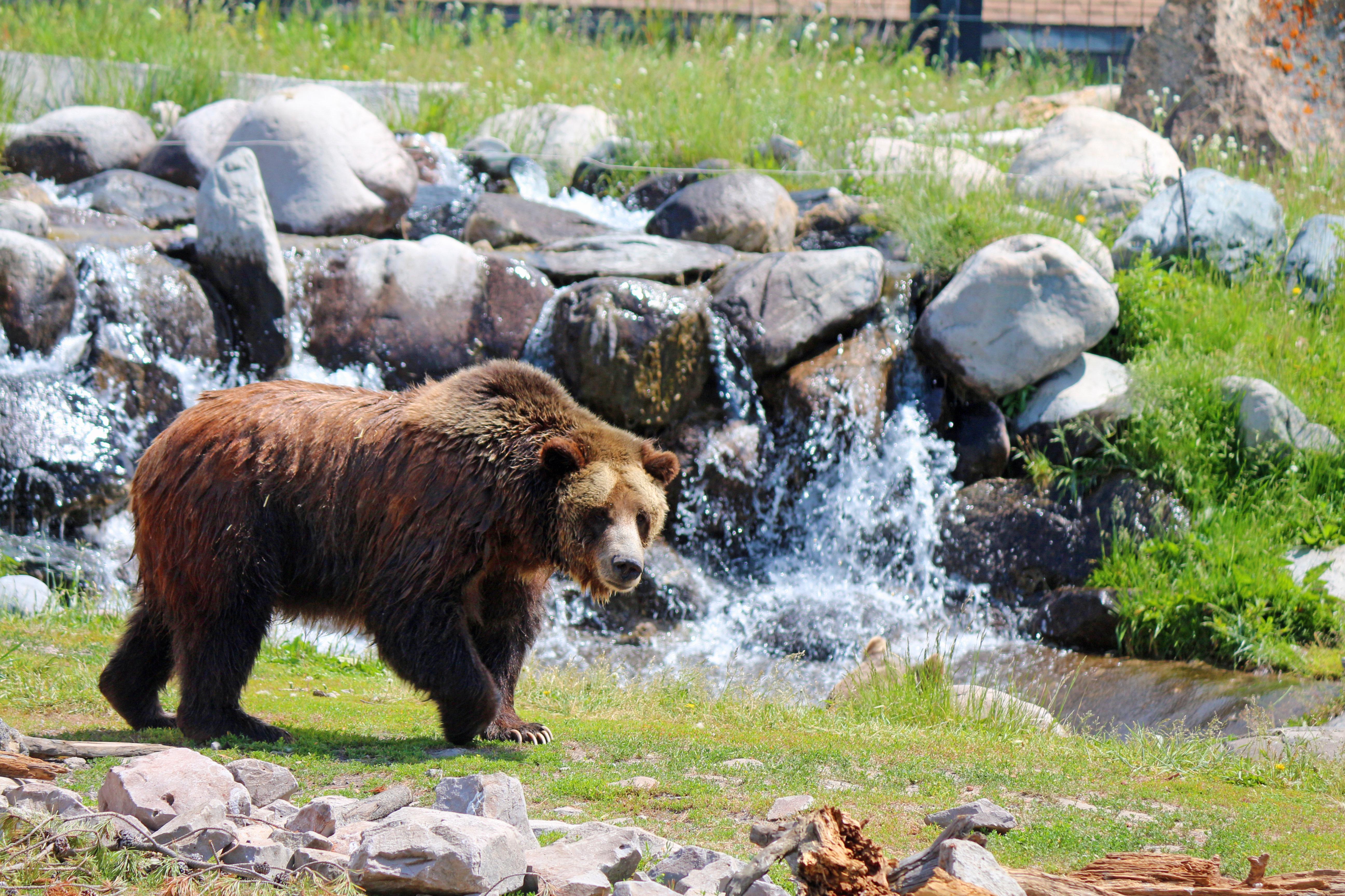 Holiday Inn West Yellowstone By Ihg Εξωτερικό φωτογραφία